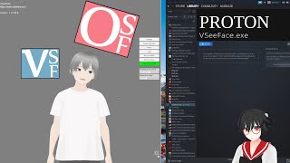How to set up VSeeFace on GNU/Linux using Proton and OpenSeeFace