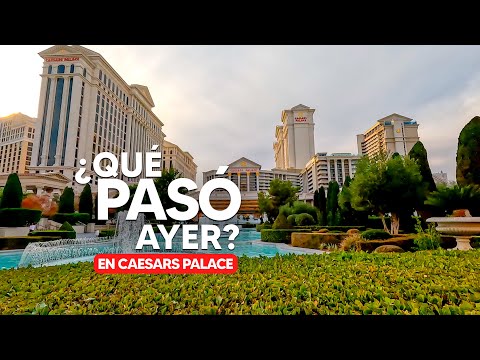 Q1 2015 Isle Of Capri Casinos Earnings Conference call