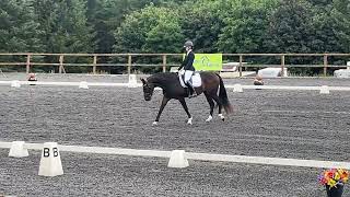 Waverly foxtrot 72% winning petplan test 