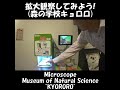 もっと拡大!観察しよう!昆虫の体の仕組み!森の学校キョロロ ≫ 加藤英明【公式】かとチャン