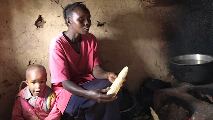 More Food Doesn't Solve World Hunger, Experts Say