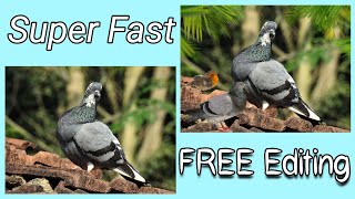 Photo editing | Bird Sticker🕊️Sat and Tree Sticker 🌴set screenshot 5