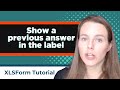 ODK XLSForm Tutorial: Show a previous answer in the label