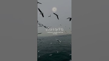 🎧قل يأيها الكافرون 🌿🌿 سورة الكافرون 🎧🌿 القارئ ياسر الدوسري 🌿2024 #اكتب شيء تؤجر عليه