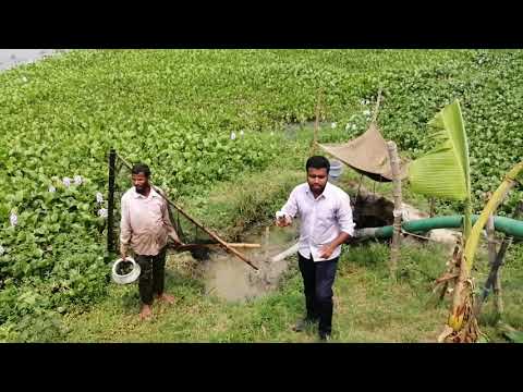 চলন বিলে একদিন | A Day In Chalan Beel | Kabir Hossain | DP | Uncut