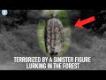 25 Highly DISTURBING Things Found in The Woods & Forest...