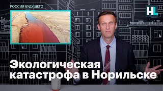 Навальный об экологической катастрофе в Норильске