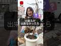 土替えが出来なかったらズボラ法　#相原バラ園 #バラ栽培 #ショート