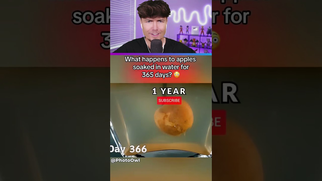 Dieser Apfel lag 1 Jahr unter Wasser … und wurde gefährlich 🤯 #shorts #memes #lustig