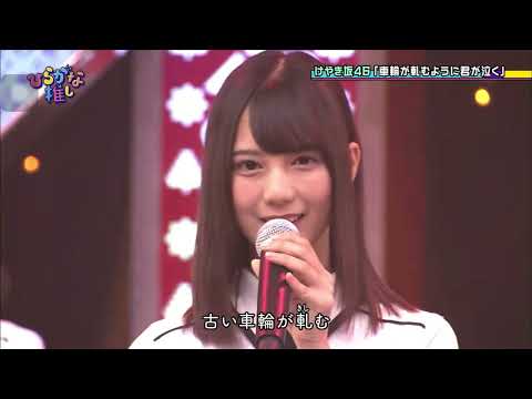 ひらがなけやき46  車輪が軋むように君が泣く ひらがな推し