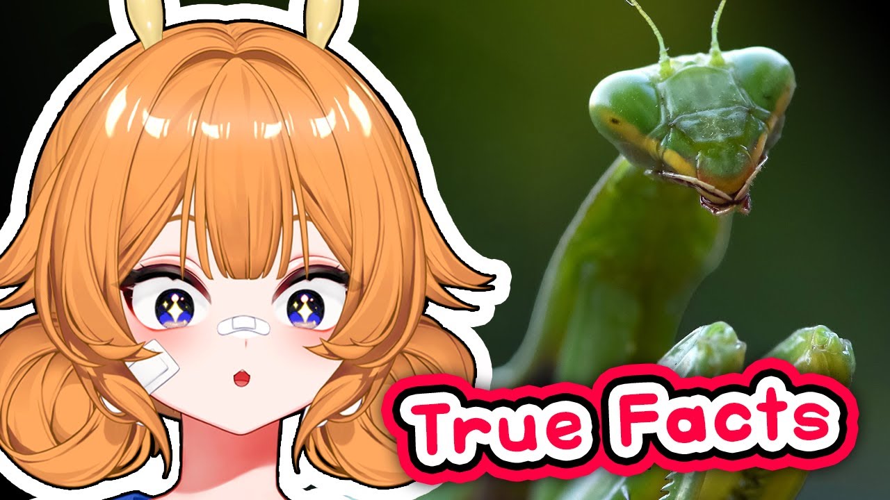 So THIS is why they're called PRAYING MANTIS!! | Snail Vtuber reacts to Ze Frank