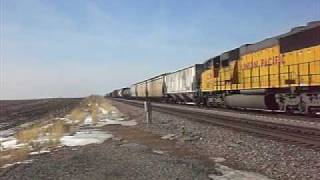 UP 8568 East UP 8568 East