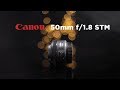 Why EVERYONE needs the Canon 50mm 1.8 STM