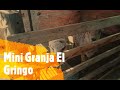 Emprendedores -  Visitando Mini Granja El Gringo