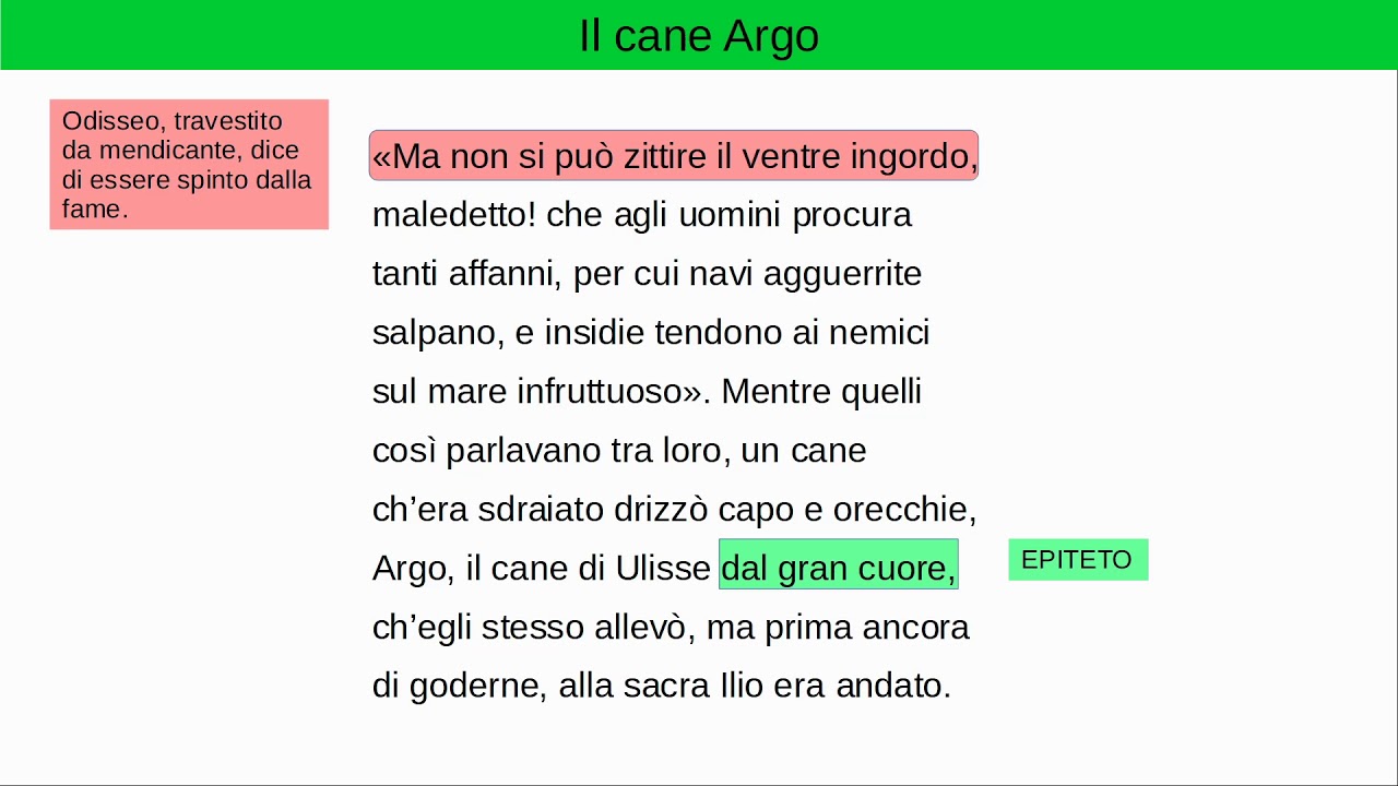 Il cane Argo YouTube