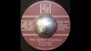 The Sweet Vandals - Do It Right  (7&quot; Vinyl HQ)