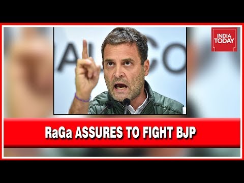 Rahul Gandhi Assures That His Party Will Continue To Fight BJP, Says It Is A Fight For Constitution