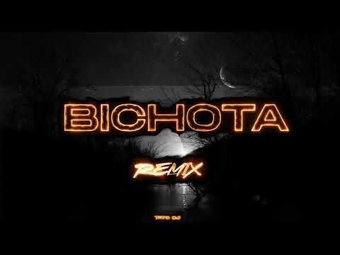 BICHOTA ( REMIX ) – KAROL G ✘ TATO DJ