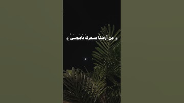 سورة طه من الآية ٥٨:٥٦ | الشيخ محمد ايوب #تلاوات