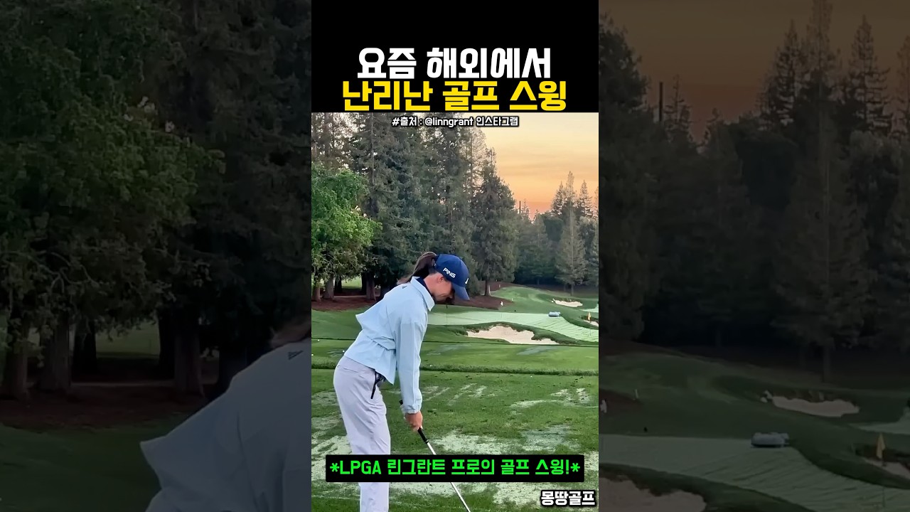해외에서 난리난 부드러운 골프 스윙 #골프 #golf #ゴルフ