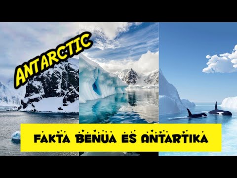 Video: Halo Kompleks Di Antartika - Pandangan Alternatif