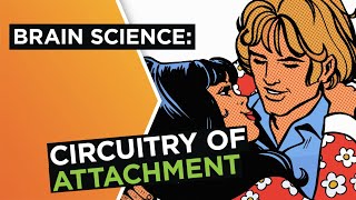 Brain in love: The science of attachment in relationships | Helen Fisher | Big Think