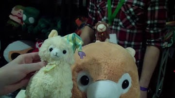 Видеоотчет / Video report from AnimeWeekend WinterFall