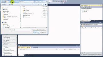Open existing form in new Visual Basic project.