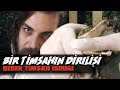 BİR TİMSAHIN DİRİLİŞİ - BEBEK TİMSAH ISIRIĞI