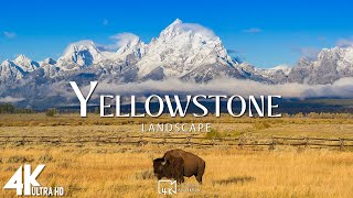 Yellowstone National Park 4K Ultra HD • Stunning Footage, Scenic Relaxation Film with Calming Music