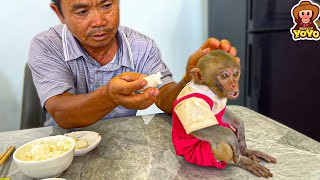 How monkey YiYi and grandpa cared and loved each other when Un In passed away