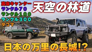 実用ランドまとめ land I tried the forest road in the sky, but it was so harsh that