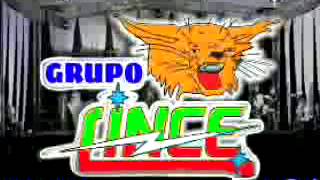 Video thumbnail of "Grupo Lince Oro"