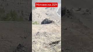 Алтай. Мото весна 2024