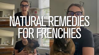 Natural Remedies for Dog Allergies by The French Bullvlog 5,222 views 1 year ago 8 minutes, 30 seconds