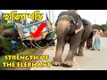 Elephant What Can Do ।  Unbelievable Elephant Work l হাতি দিয়ে  খাদে পড়া ট্রাক কিভাবে  টেনে তোলে