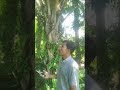 Praktikum IPA SD | MODUL 2 : MAKHLUK HIDUP DAN LINGKUNGANNYA KEGIATAN PRAKTIKUM 1 EKOSISTEM