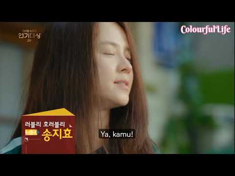 Song Ji Hyo Drama Award |송지효