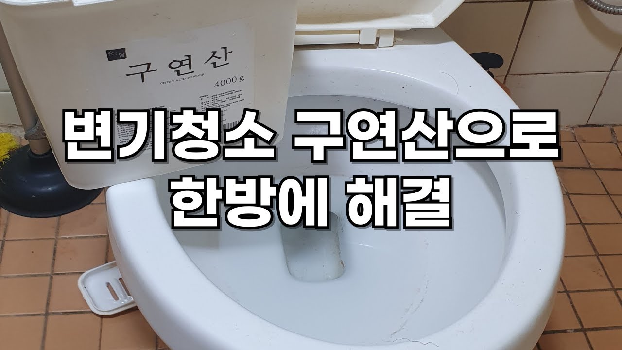 구연산 하나로 변기 속 찌든때  청소 꿀팁