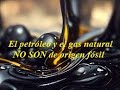 El petrleo y el gas natural no son de origen fsil