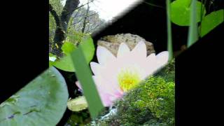 A Circle of Seasons - a folksong - M. Linnemann