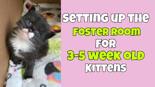 Setting Up the Foster Room for 35 Week Old Kittens