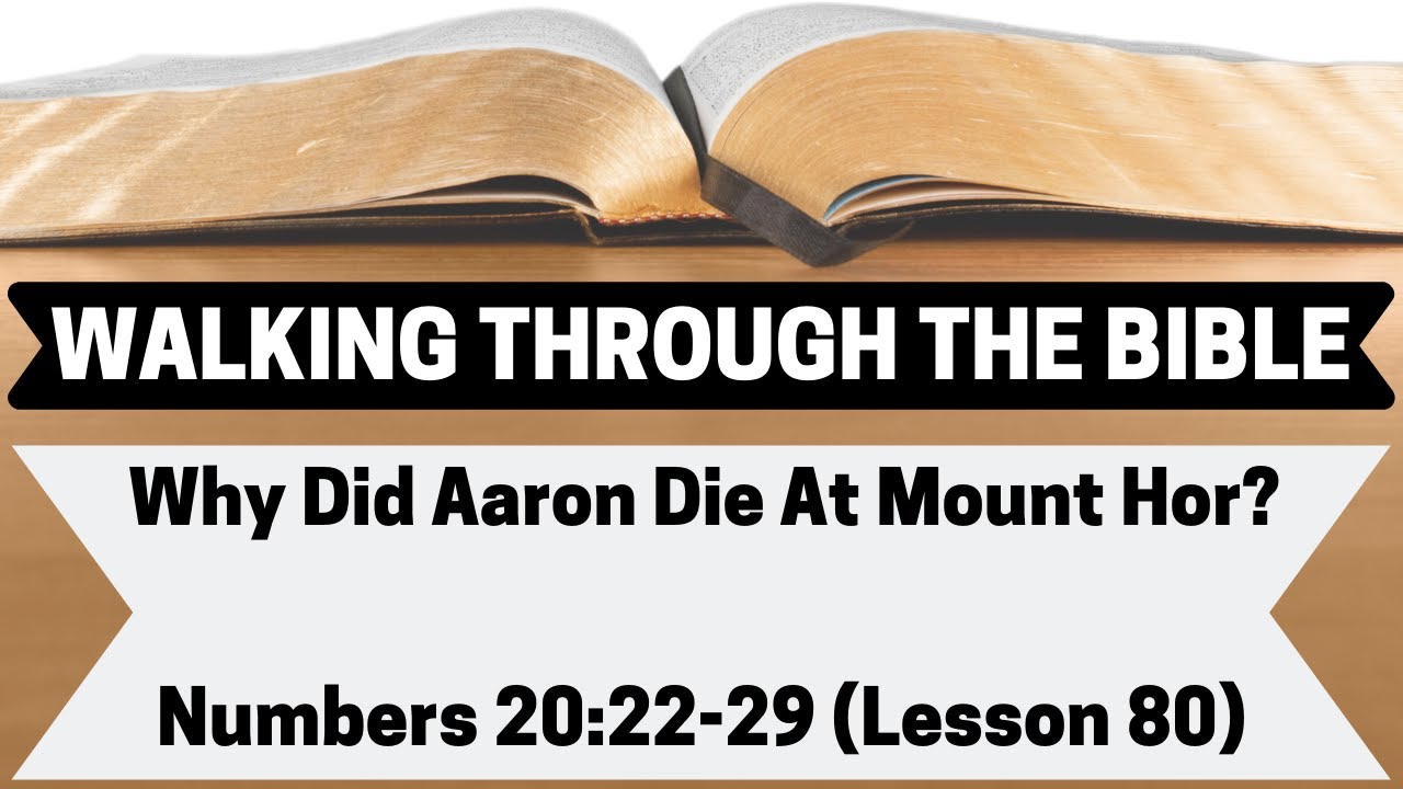 Why Did Aaron Die At Mount Hor? [Numbers 202229][Lesson 80][WTTB