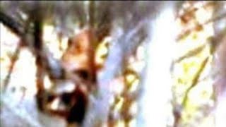 Interview With Robyn Haynes Mccray &Decades of Sasquatch Encounters