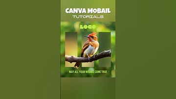 Canva Hack Part_1 | Canva  Animation Tutorial | shailevisuals