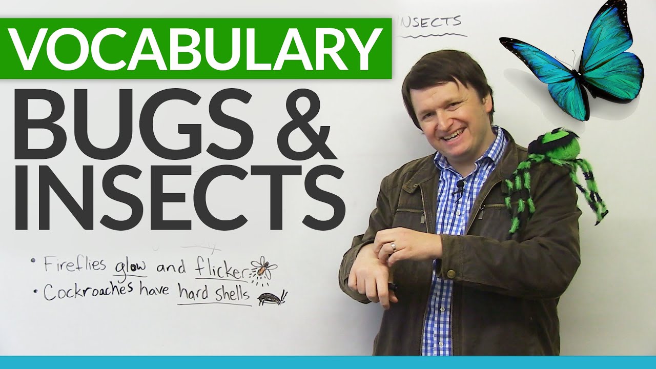 ⁣English Vocabulary: Talking about BUGS and INSECTS