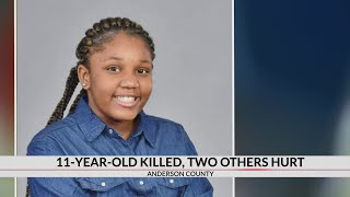 11 year old killed, two injured in weekend shooting