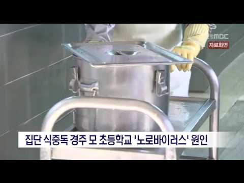 [포항MBC뉴스]집단 식중독 경주 초등학교 '노로바이러스' 원인