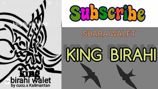 Suara Panggil Walet SP. KING BIRAHI  🐅