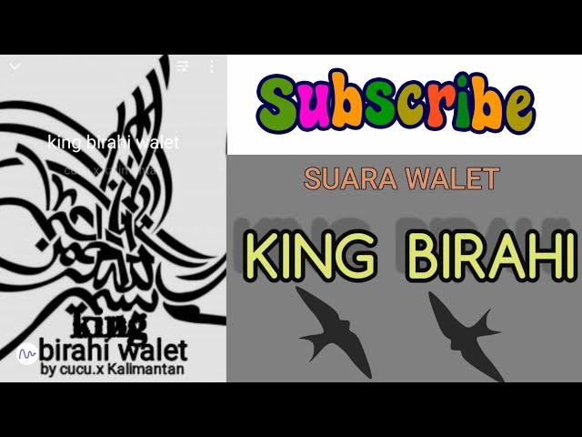 Suara Panggil Walet SP. KING BIRAHI  🐅 class=